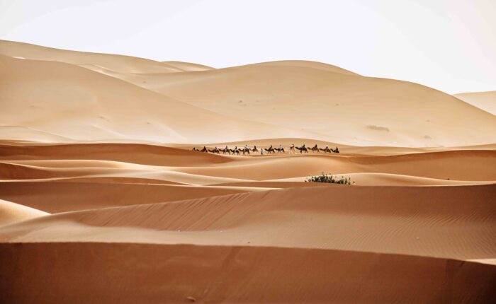 15 days Tangier Desert Tour