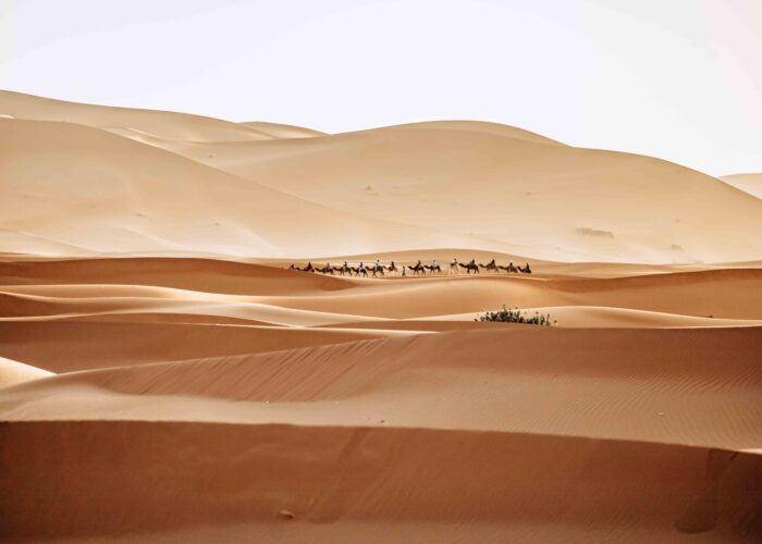 15 days Tangier Desert Tour