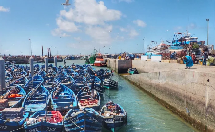 1 Day trip to Essaouira