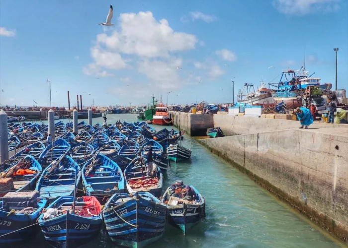 1 Day trip to Essaouira