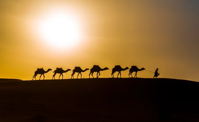 Sunset & camel ride in Merzouga