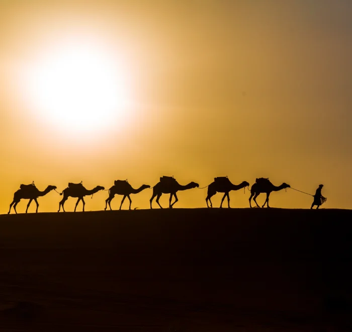 Sunset & camel ride in Merzouga